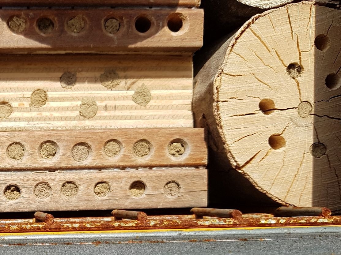 Frontansicht Insektenhotel aus Holz
